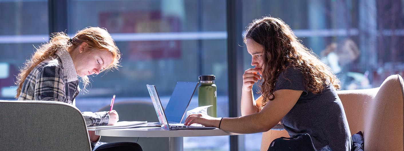 Two students study